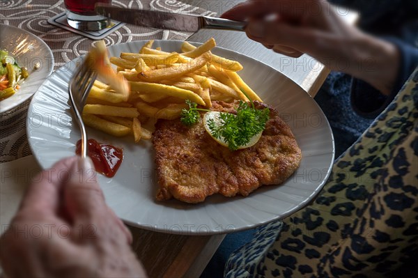 Pork schnitzel with French fries served in a pub, Franconia, Bavaria, Germany, Europe