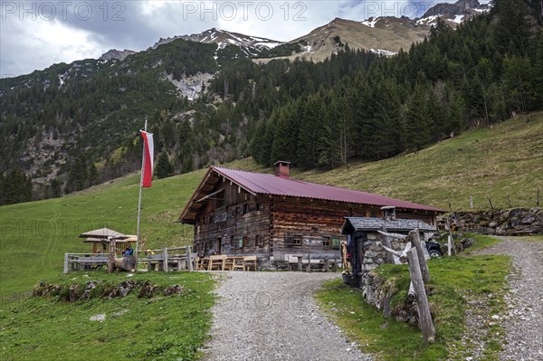Naturalpe Gemstel-Schoenesboden-Alpe, Gemsteltal, Mittelberg, Kleinwalsertal, Vorarlberg, Allgaeu