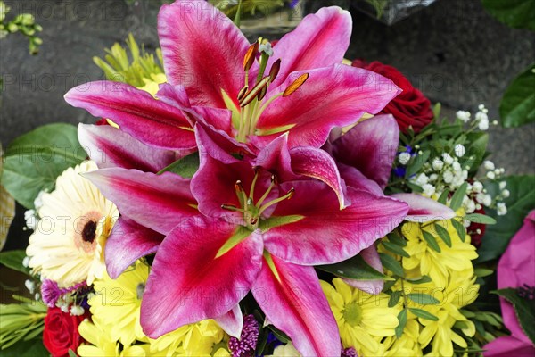 Lively bouquet with a large pink Lily (Lilium candidum) in focus, flower sale, Central Station,
