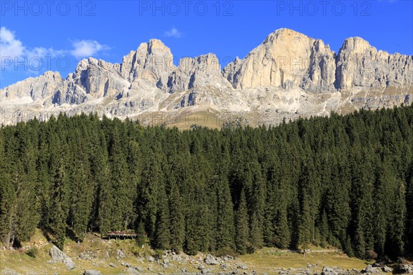 Sunshine illuminates a dense forest in front of high rocky mountain peaks, Trentino-Alto Adige,