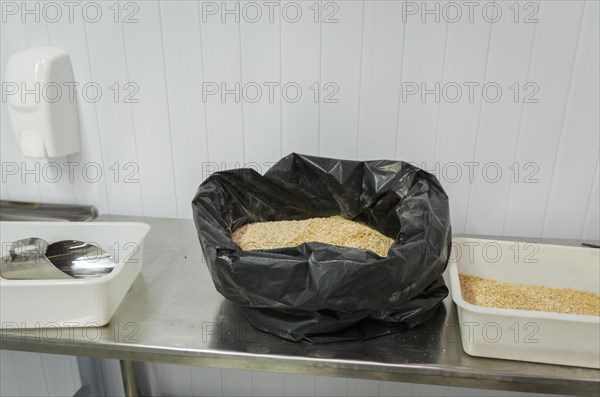 Barley malt for beer, pale ale, pilsen