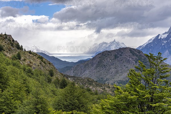 Glacier Grey on the horizon, Hike to Ferrier lookout, Torres de Paine, Magallanes and Chilean