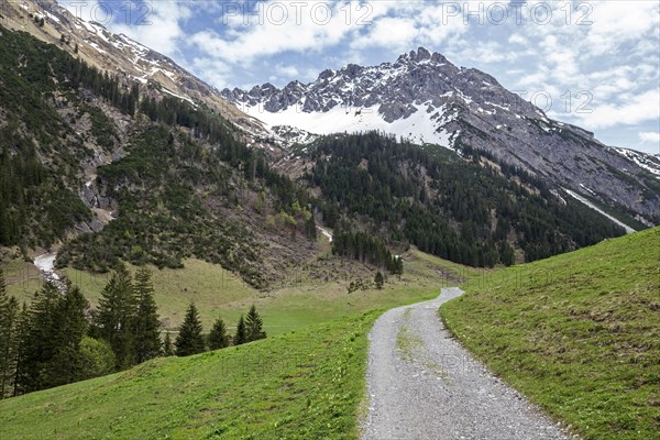 Hiking trail through green meadows, behind Geisshorn, Gemsteltal, Mittelberg, Kleinwalsertal,