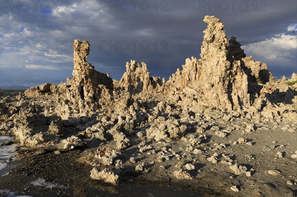 Tufa formations rise on the shore of a lake, illuminated by evening light, Mono Lake, North