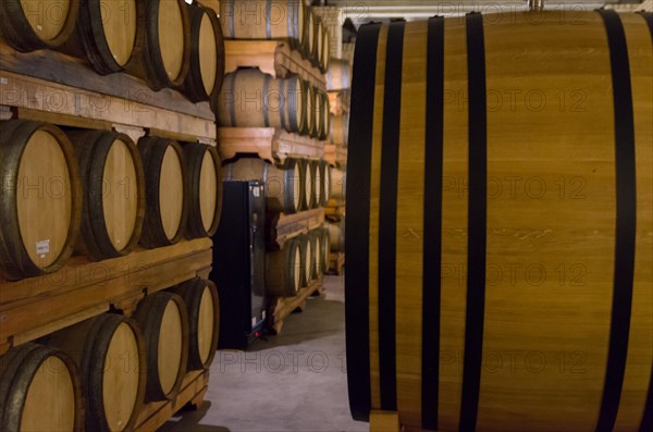 Oak barrels for wine aging in an underground cellar in Vale dos Vinhedos