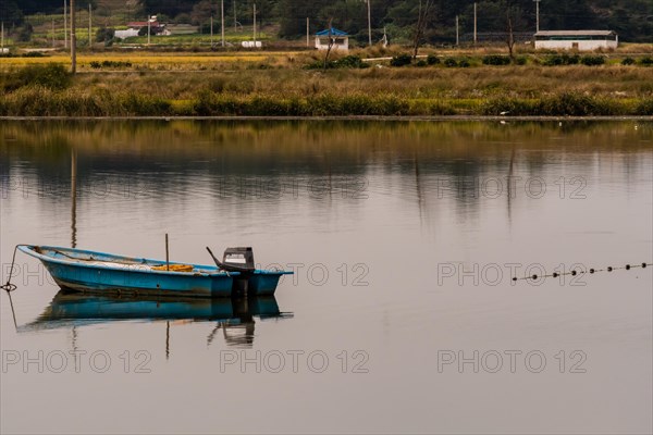 Small blue fishing boat with outboard motor in the middle of lake with tall reeds and grass on