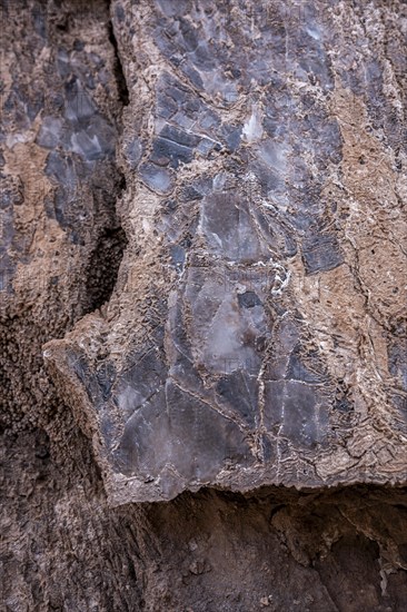 Salt crystals bound in rock, Valle de la Luna, San Pedro de Atacama, Antofagasta, Chile, South