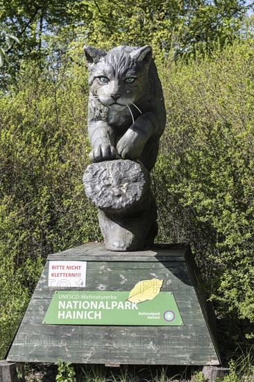 Wild cat sculpture in the wild cat village of Huetscheroda, Thuringia, Germany, Europe