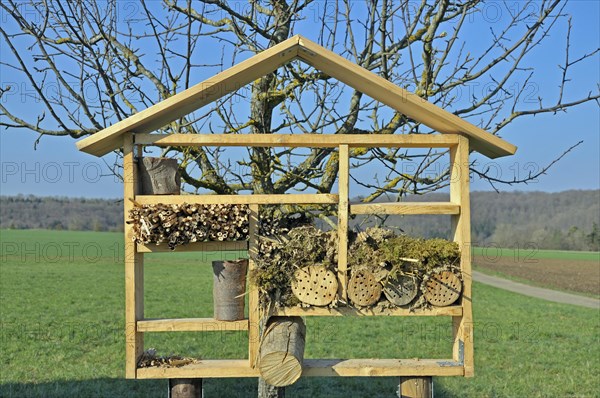 Nesting aid for wild bees and other insects with wood and elder stems, wild bee nesting aid, insect