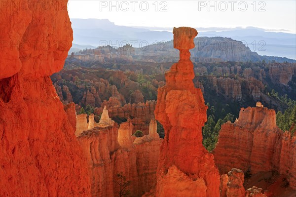 A striking hoodoo towers over a formation of rock towers, Thor's hammer, Bryce Canyon National