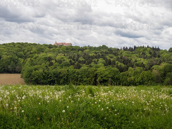 Meadow and forest edge, arable land, Riegersburg Castle in the background, near Riegersburg,