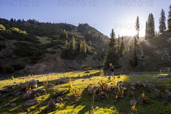 Hikers in a valley with forest in the morning, Jyrgalan valley, on the way to Kok-Bel waterfall,