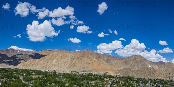 The Namgyal Tsemo Gompa monastery on Tsenmo Hill, a viewpoint over Leh, Ladakh, Jammu and Kashmir,