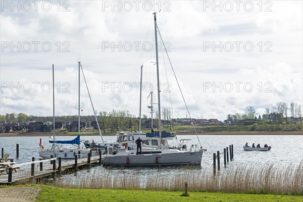 Marina, Oat, herring fishing, Kappeln, Schlei, Schleswig-Holstein, Germany, Europe