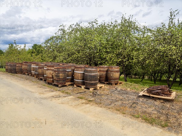 Wooden barrels, near Riegersburg, Styrian volcanic region, Styria, Austria, Europe