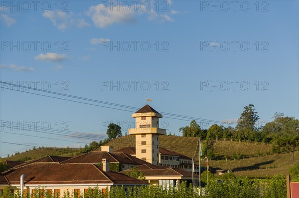 Bento Golcalves, Brasil, April 07, 2017: Luxury Winery, Vineyard of grapes in the Vale dos Vinhedos