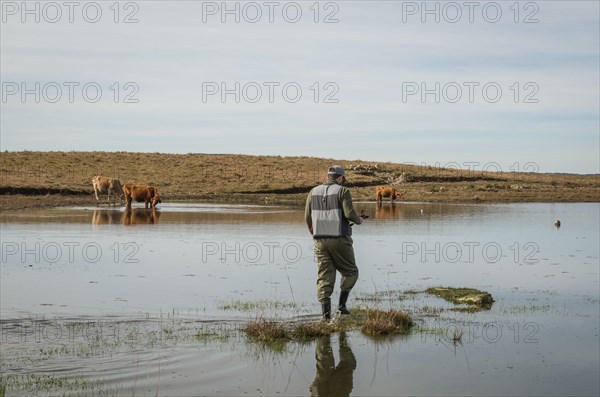 Sport fisherman fishing in lake on cloudy day, Cambara do sul, Rio Grande do sul, Brazil, South