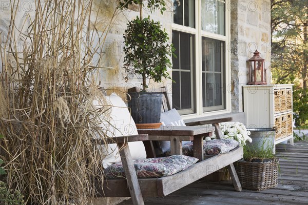 Weathered wood sitting bench with cushions plus various plants, herbs including ornamental grass