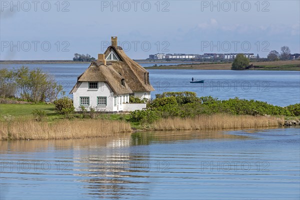 Thatched roof house, boat, herring fishing, Rabelsund, Rabel, Schlei, Schleswig-Holstein, Germany,