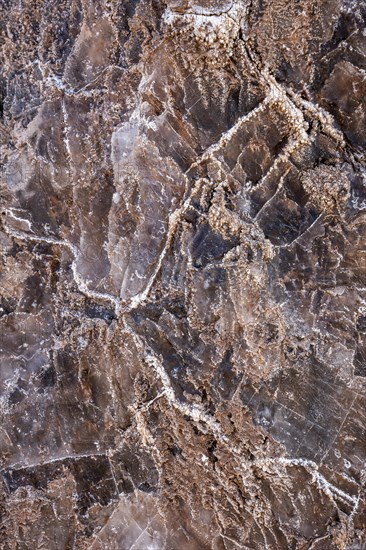 Salt crystals bound in rock, Valle de la Luna, San Pedro de Atacama, Antofagasta, Chile, South