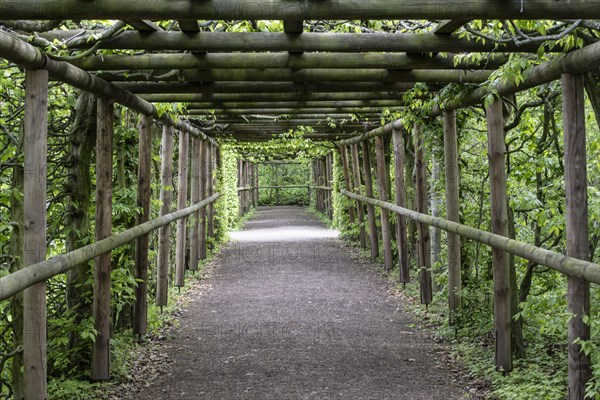 Russian Garden in the Belvedere Palace Park, Weimar, Thuringia, Germany, Europe