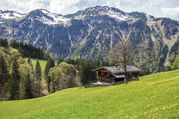 Old farmhouse in the historic mountain farming village of Gerstruben, behind Himmelschrofen,