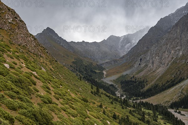 Green Mountain Valley, Chong Kyzyl Suu Valley, Terskey Ala Too, Tien-Shan Mountains, Kyrgyzstan,