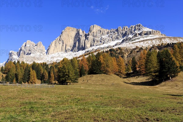 Massive rock formations above a grassland with autumnal trees, Italy, Alto Adige, Bolzano province,