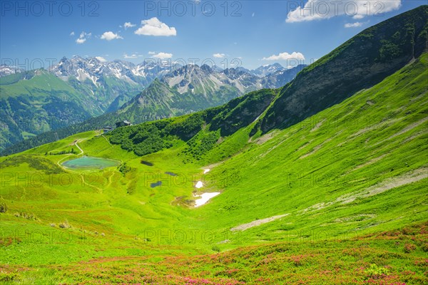 Alpine rose blossom, panorama from Fellhorn over Schlappoldsee and Fellhornbahn mountain station to