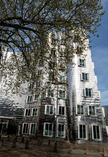 Frank-Gehry-Bauten, Neuer Zollhof, Medienhaufen Duesseldorf, North Rhine-Westphalia, Germany,
