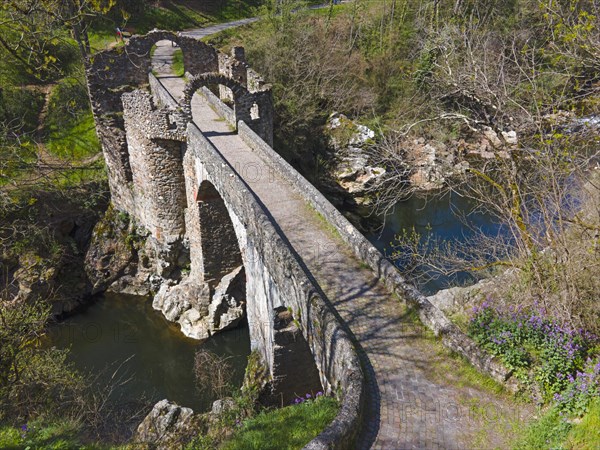 Old arched bridge over a river, bordering paths and nature in the sunlight, Bridge of the Devil,