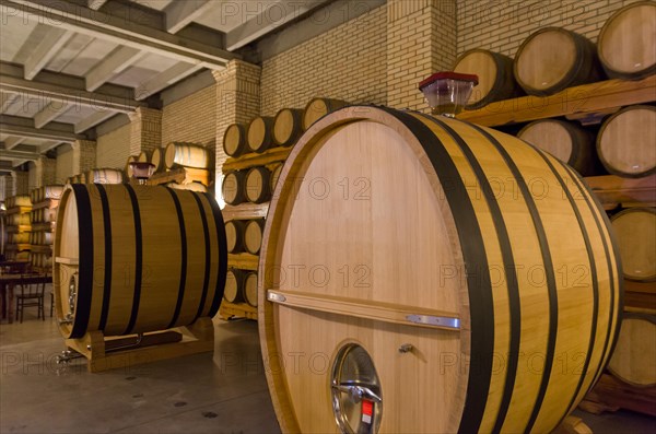 Oak barrels for wine aging in an underground cellar in Vale dos Vinhedos