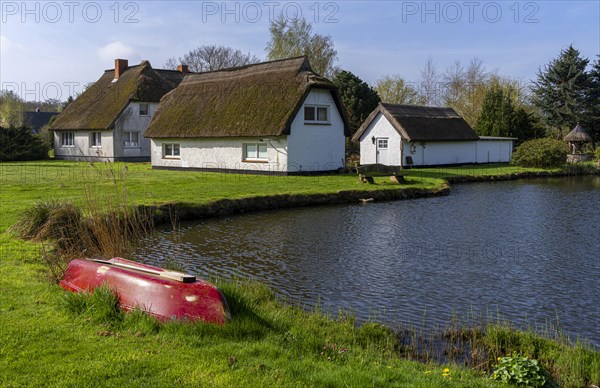 Holiday homes by a small pond, Binz, Ruegen, Mecklenburg-Vorpommern, Germany, Europe