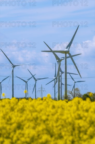 Wind turbines in the Luetetsburg wind farm behind a rape field on the North Sea coast, Hagermarsch,