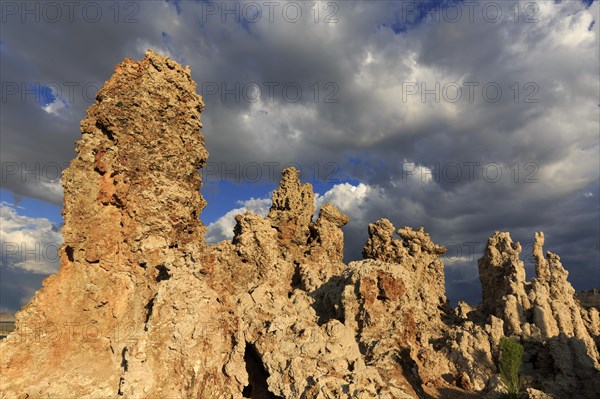 Sunlit tufa rocks against dark clouds, near the golden hour, Mono Lake, North America, USA,