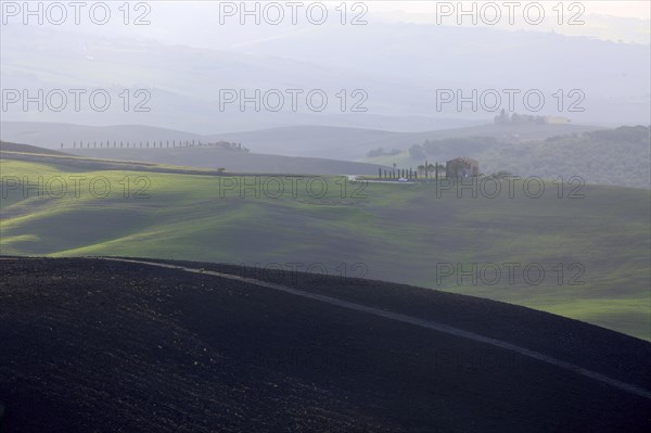 Shadows and light play over the rolling hills of Tuscany at dusk, Italy, Tuscany, Podere Belvedere,