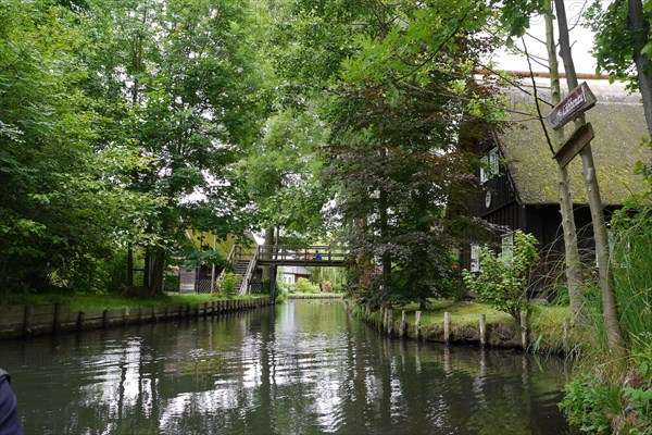 Spreewald, biosphere reserve, Brandenburg, Germany, Europe