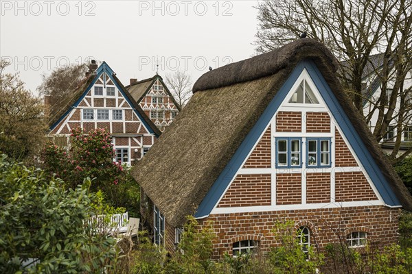 Half-timbered houses with thatched roofs, Steinkirchen, near Jork, Altes Land, Lower Saxony,