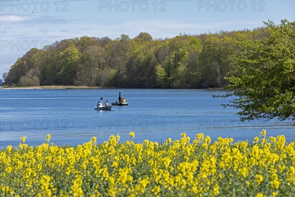 Herring fishing, boats, Rabelsund, Rabel, Schlei, Schleswig-Holstein, Germany, Europe