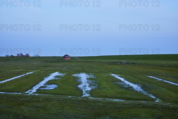 Drainage ditches in the dyke hinterland at dusk near Ockholm, Nordfriesland district,