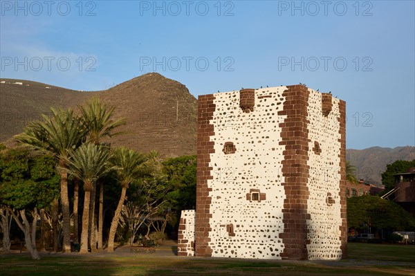 Torre del Conde, Tower of the Count, medieval tower in the park, Parque de la Torre with Palm
