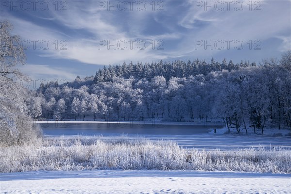 Holzmaar, in winter, nature reserve, Vulkaneifel, Rhineland-Palatinate, Germany, Europe