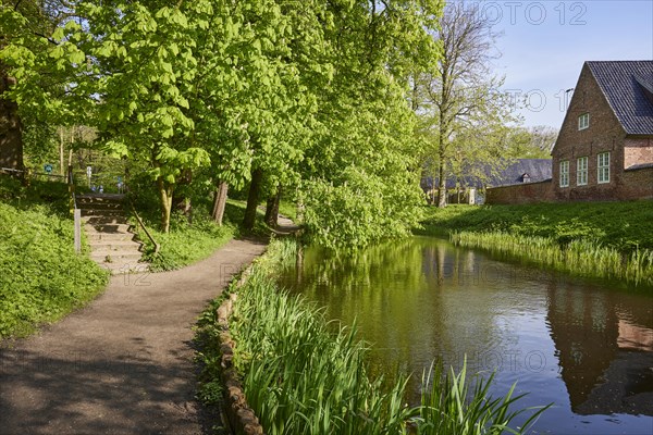 Chestnut tree (Castanea) at the castle moat and path at the castle outside Husum, district of North