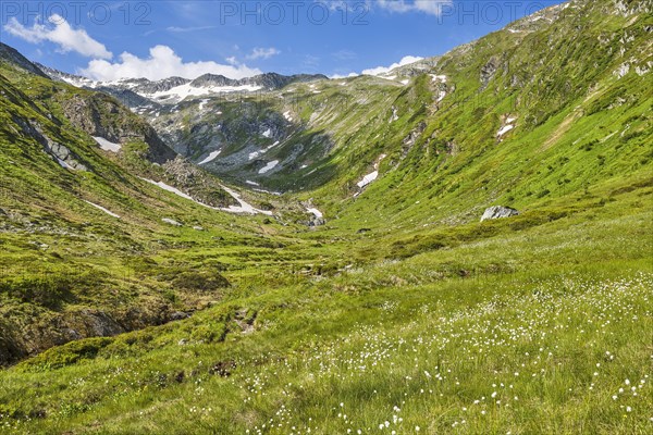 Hike along the Mur, Murursprung, Wollgras, Muhr, National Park Community, UNESCO Biosphere Park