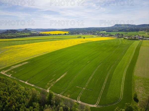 The Schrammsteine are an elongated, heavily jagged group of rocks in the Elbe Sandstone Mountains,