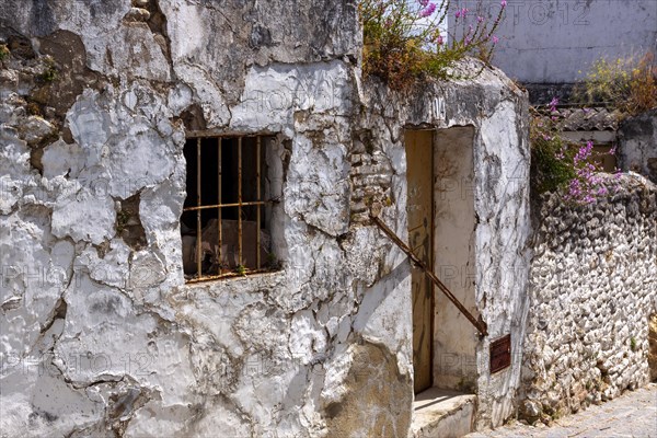 Old house facades and property walls, Bornos, Andalusia, Spain, Europe