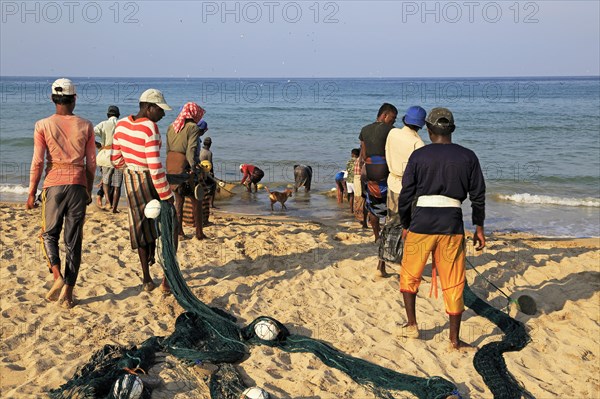 Traditional fishing hauling nets Nilavelli beach, near Trincomalee, Eastern province, Sri Lanka,