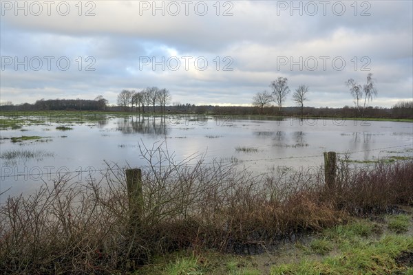 Flooded wet meadows in winter, Dingdener Heide nature reserve, North Rhine-Westphalia, Germany,