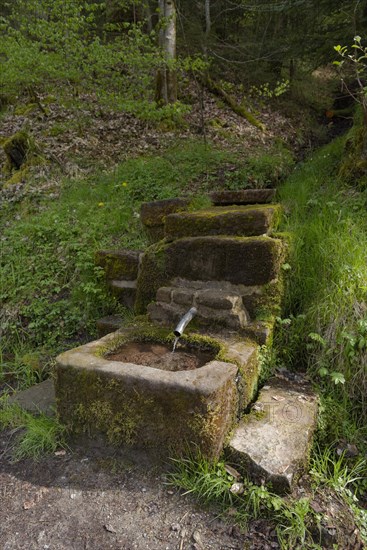 Wells in Rottal, Mainhardter Wald, Swabian-Franconian Forest Nature Park, Schwaebisch Hall,