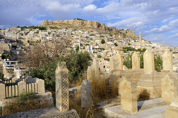 Mardin viewed from the Muhamad Zirrar Asri cemetery, Mardin, Turkey, Asia